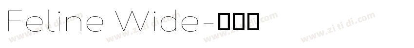 Feline Wide字体转换